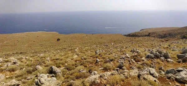 Seafront 24,000 m² Plot of Land for Sale in Kokkino Chorio, Apokoronas — photo 3