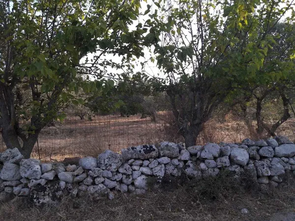 Seafront 2,000 m² Plot for Sale in Sternes, Akrotiri — photo 2