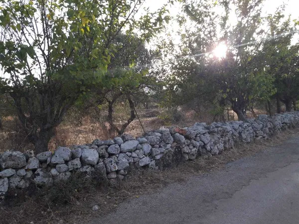 Seafront 2,000 m² Plot for Sale in Sternes, Akrotiri — photo 3