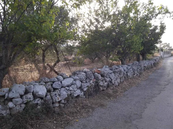 Seafront 2,000 m² Plot for Sale in Sternes, Akrotiri