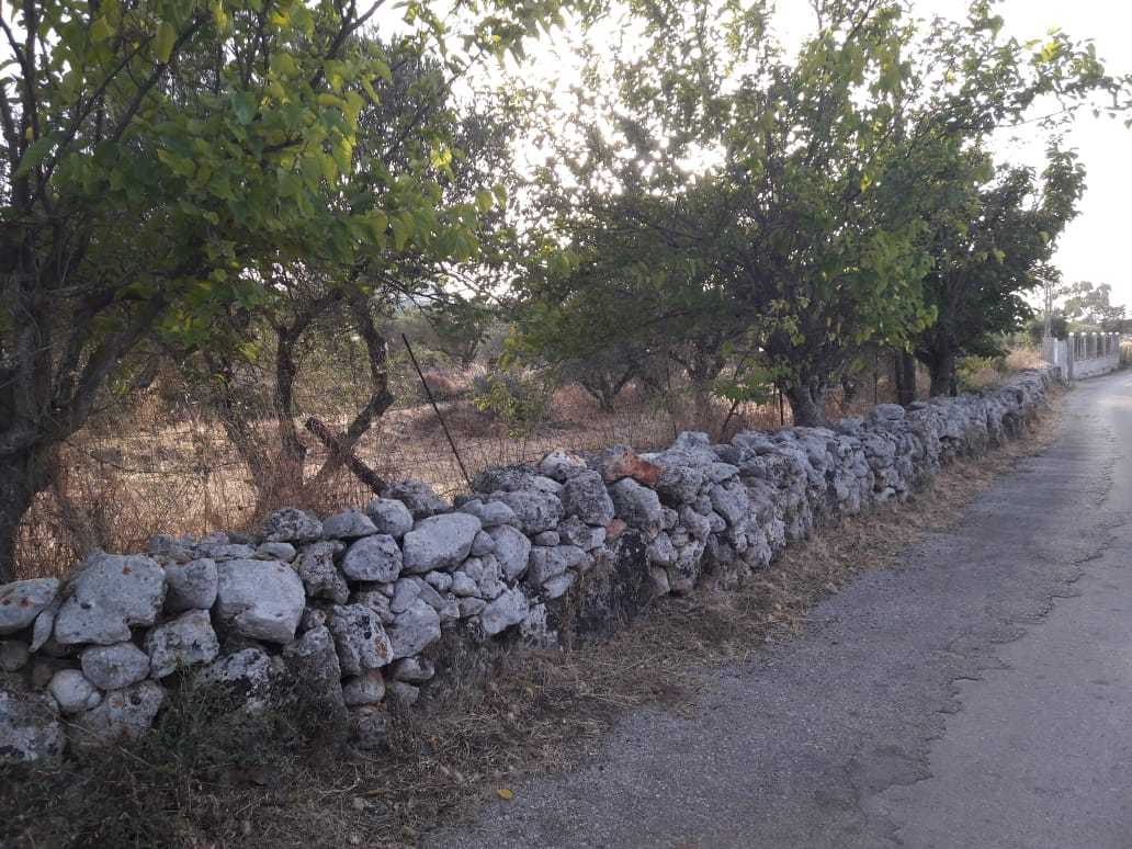 Seafront 2,000 m² Plot for Sale in Sternes, Akrotiri