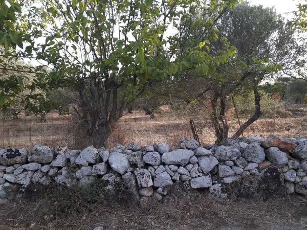 Seafront 2,000 m² Plot for Sale in Sternes, Akrotiri — photo 4