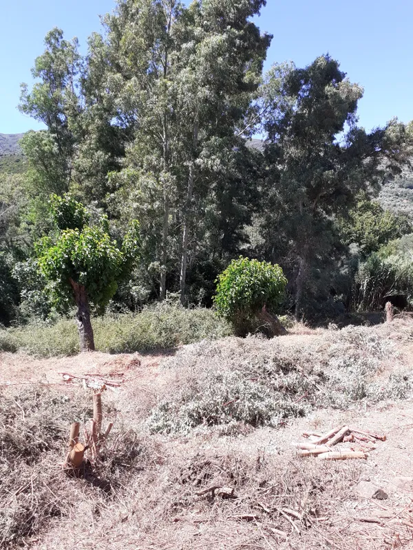 500 m² Land for Sale in Kandanos, Kandanos-Selino — photo 4