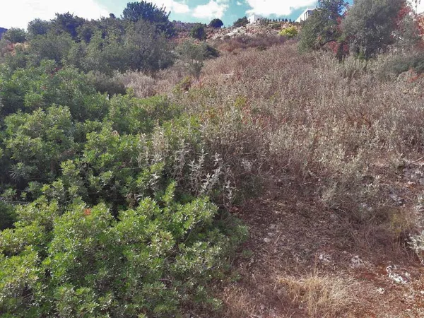 Sea-View 6,300 m² Plot of Land for Sale in Tsikalaria, Chania — photo 5