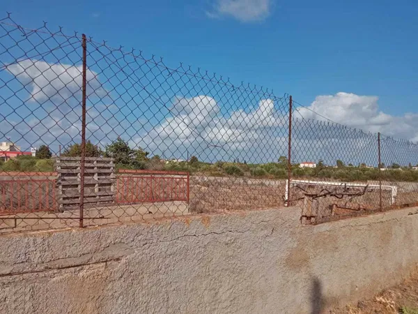 4,002 m² Land for Sale in Stavros, Akrotiri — photo 3