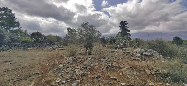 604 m² Plot for Sale in Litsarda, Apokoronas — photo 2