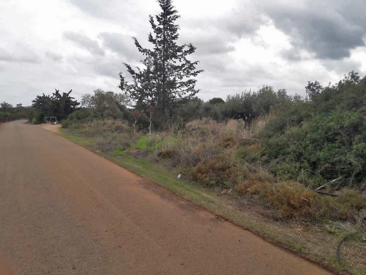 10,100 m² Land for Sale in Aroni, Akrotiri