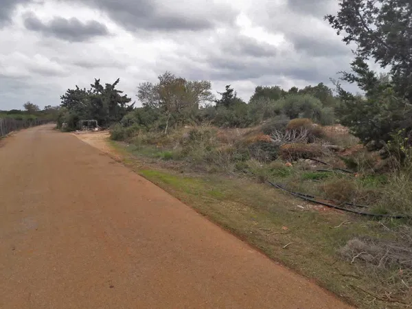 10,100 m² Land for Sale in Aroni, Akrotiri — photo 2