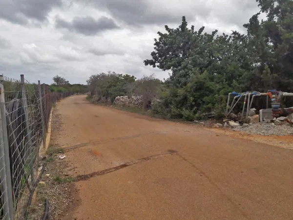 10,100 m² Land for Sale in Aroni, Akrotiri — photo 3