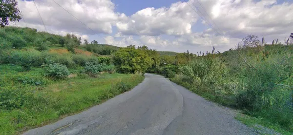 2,733 m² Plot of Land for Sale in Kyparissos, Platanias