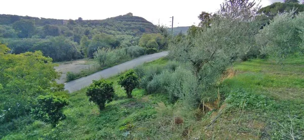 2,733 m² Plot of Land for Sale in Kyparissos, Platanias — photo 2