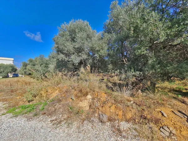 3,150 m² Land for Sale in Daratso, Chania — photo 4