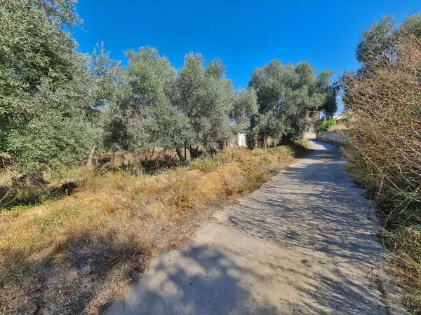 2,500 m² Land for Sale in Daratso, Chania — photo 2