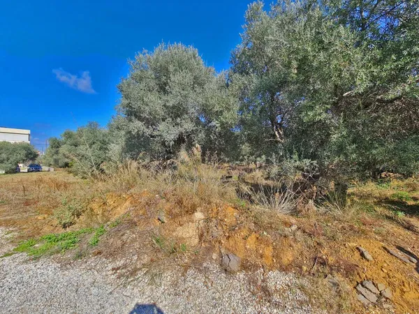 5,650 m² Plot for Sale in Daratso, Chania — photo 4
