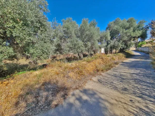 5,650 m² Plot for Sale in Daratso, Chania — photo 3
