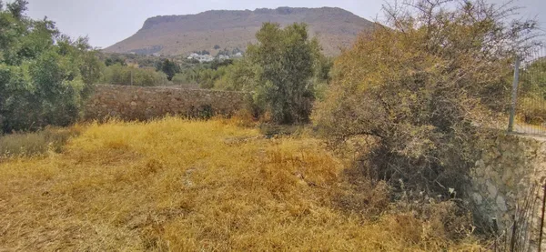 Sea-View 3,466 m² Land for Sale in Kokkino Chorio, Apokoronas — photo 5