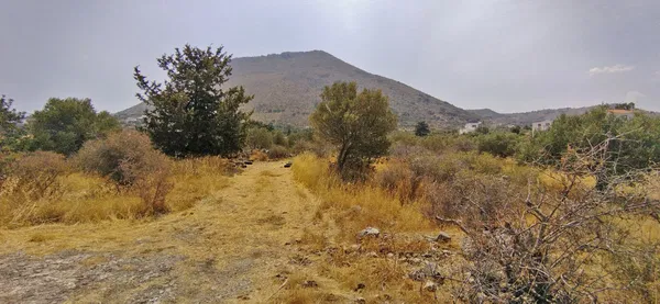 Sea-View 3,466 m² Land for Sale in Kokkino Chorio, Apokoronas — photo 4