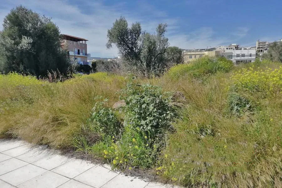 1,200 m² Land for Sale in Ilion, Athens Western Suburbs