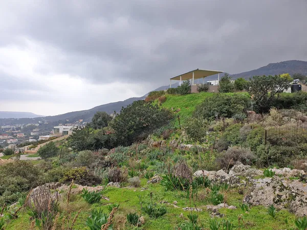 Sea-View 5,000 m² Plot for Sale in Tsikalaria, Chania — photo 4