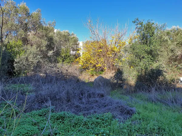 1,100 m² Plot for Sale in Chalepa, Chania — photo 4