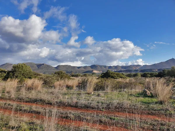8,500 m² Plot for Sale in Akrotiri, Chania — photo 4