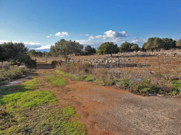8,500 m² Plot for Sale in Akrotiri, Chania — photo 2