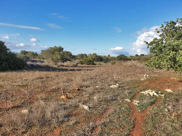 8,500 m² Plot for Sale in Akrotiri, Chania — photo 3