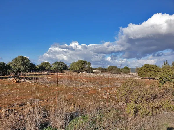 8,500 m² Plot for Sale in Akrotiri, Chania — photo 5