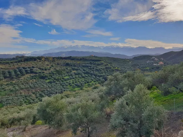 7,500 m² Plot for Sale in Stalos, Chania — photo 4