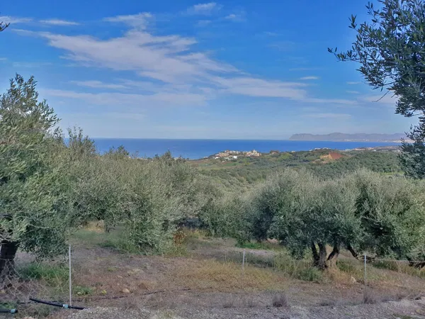 7,500 m² Plot for Sale in Stalos, Chania