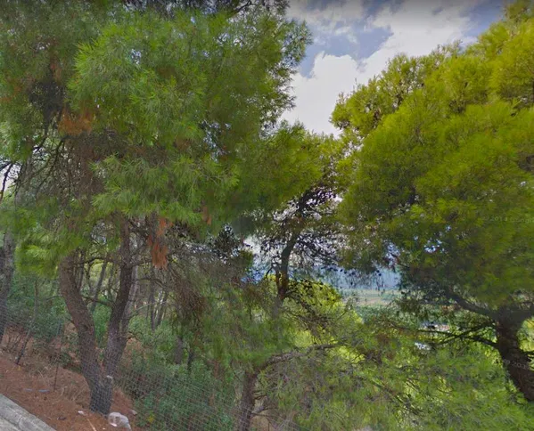 1,033 m² Plot for Sale in Ekali, Athens Northern suburbs — photo 2