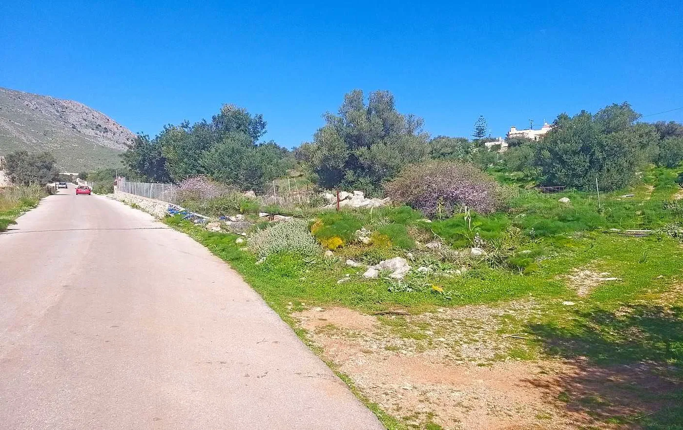 Seafront Land for Sale in Megala Chorafia, Chania