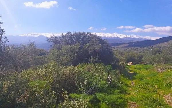 Seafront Land for Sale in Megala Chorafia, Chania — photo 4