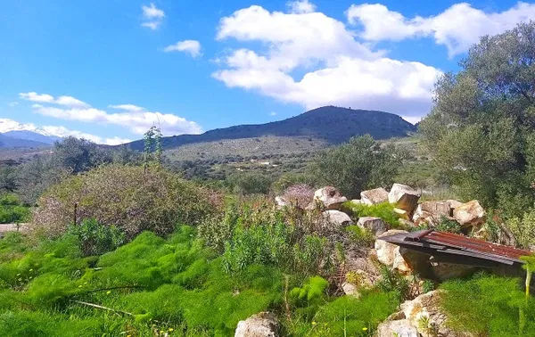 Seafront Land for Sale in Megala Chorafia, Chania — photo 3