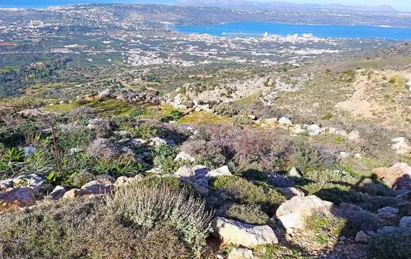 Sea-View 4,031 m² Land for Sale in Malaxa, Chania — photo 2