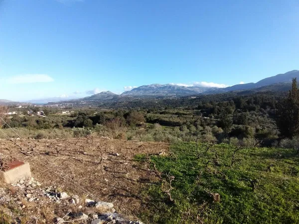 Seafront 4,900 m² Plot of Land for Sale in Nippos, Apokoronas — photo 3