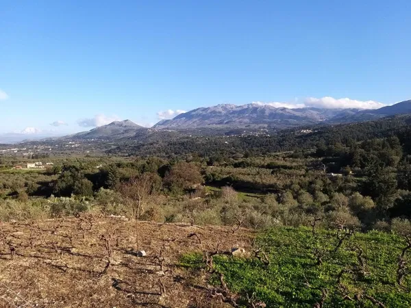 Seafront 4,900 m² Plot of Land for Sale in Nippos, Apokoronas — photo 4