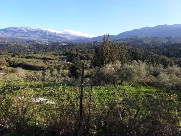Seafront 4,900 m² Plot of Land for Sale in Nippos, Apokoronas — photo 5
