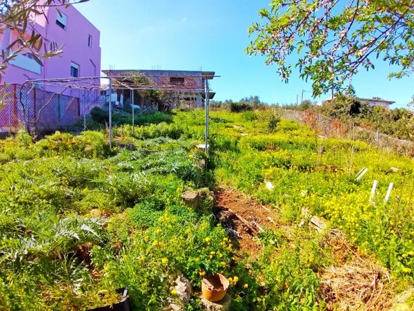 450 m² Plot of Land for Sale in Agios Onoufrios, Akrotiri — photo 2