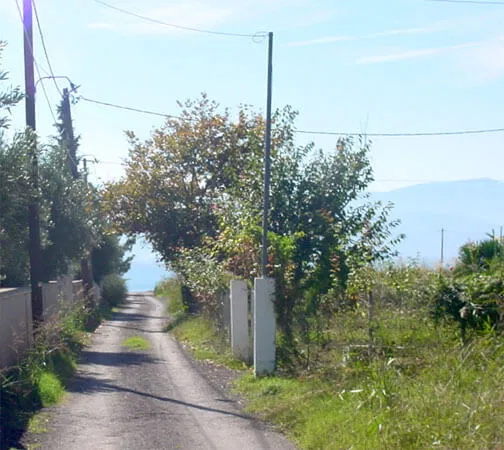 Sea-View 24,000 m² Plot for Sale in Lamia, Sterea Hellas — photo 2
