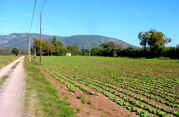 Sea-View 24,000 m² Plot for Sale in Lamia, Sterea Hellas — photo 3
