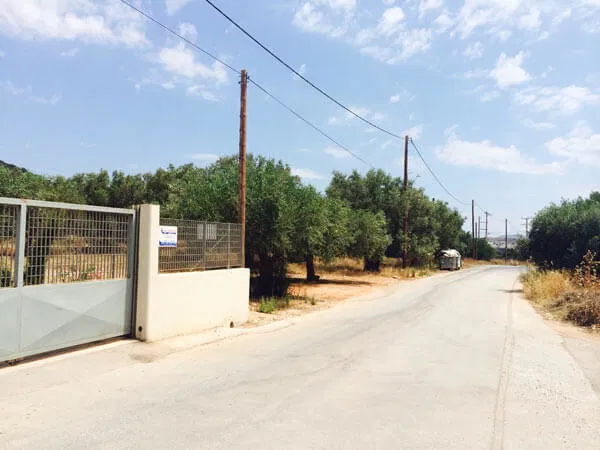 11,280 m² Plot of Land for Sale in Markopoulo, Attica — photo 5