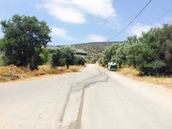 11,280 m² Plot of Land for Sale in Markopoulo, Attica — photo 4