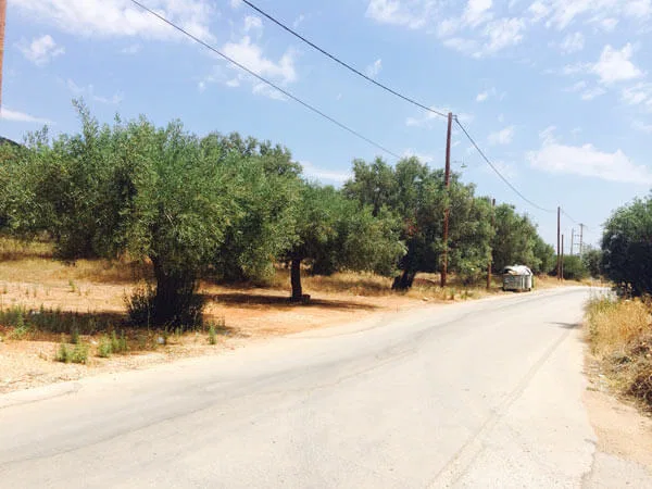 11,280 m² Plot of Land for Sale in Markopoulo, Attica