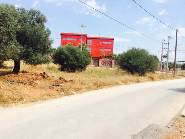 11,280 m² Plot of Land for Sale in Markopoulo, Attica — photo 2