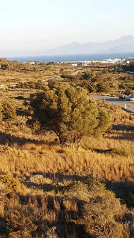 Seafront 40,000 m² Land for Sale in Kos, Dodecanese Islands