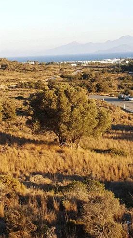Seafront 40,000 m² Land for Sale in Kos, Dodecanese Islands