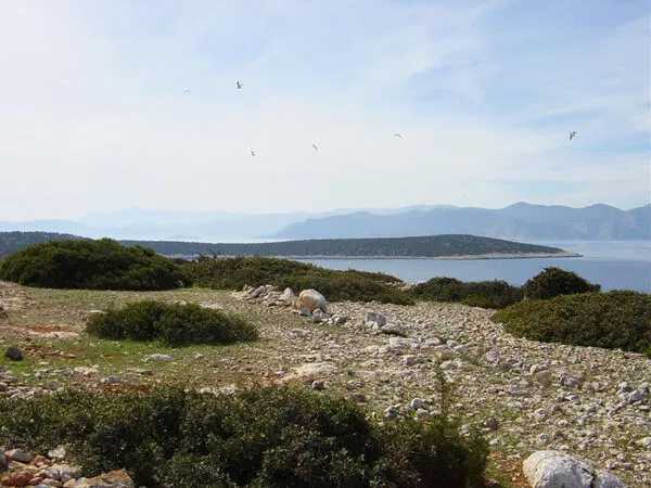 Private Island for Sale in Greece, Eastern Aegean — photo 2