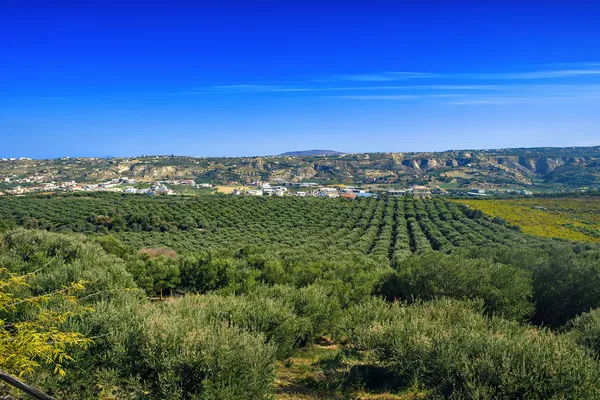 Seafront 90,000 m² Plot of Land for Sale in Heraklion