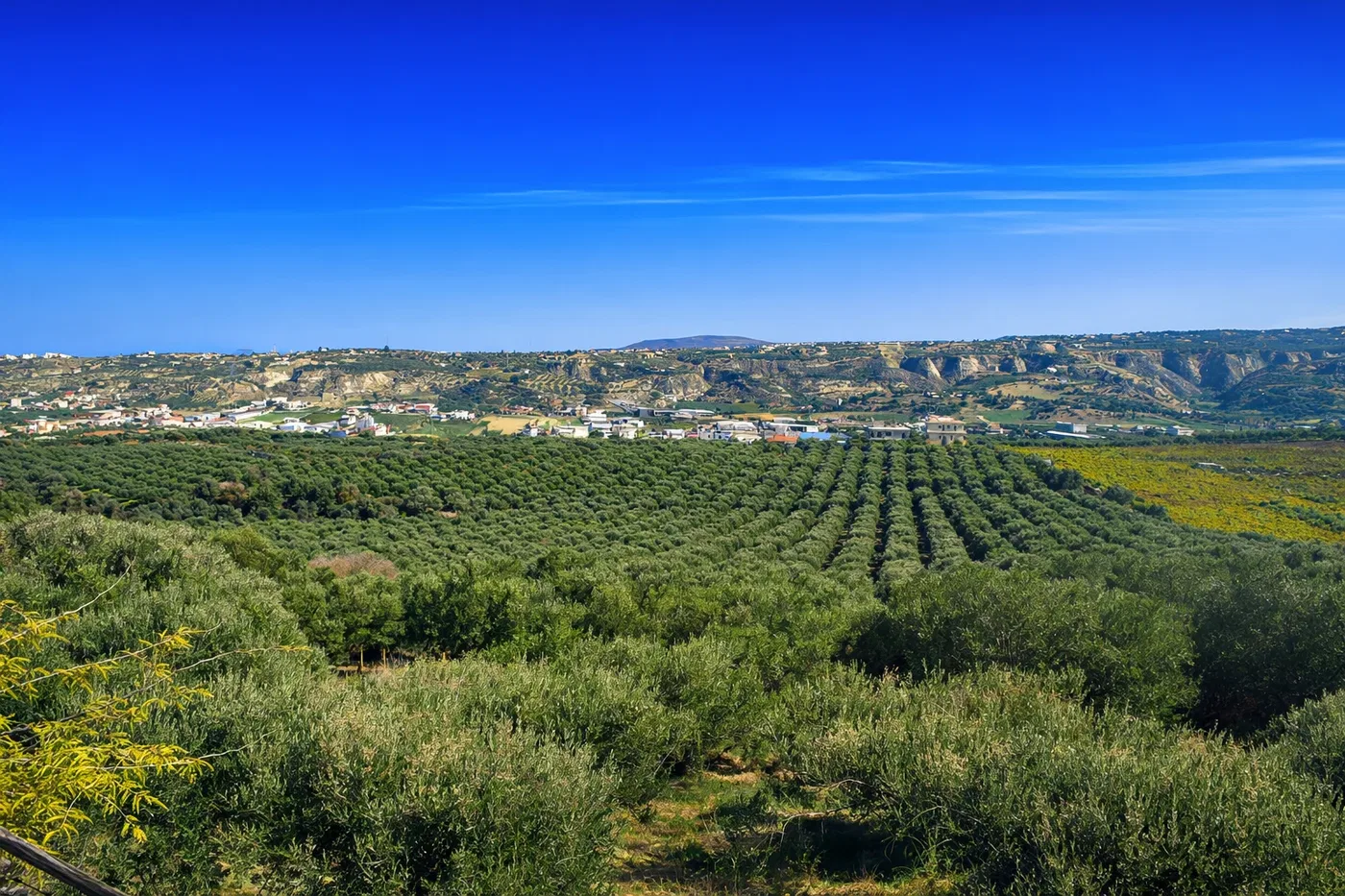Seafront 90,000 m² Plot of Land for Sale in Heraklion
